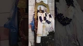 #birthday mini vlog#manvitha# #birthdaycelebrations#traditional#ryali#temple #ManviShannu#
