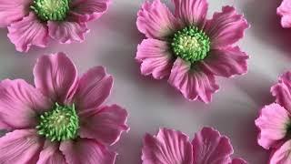 Royal Icing Pink Daisies