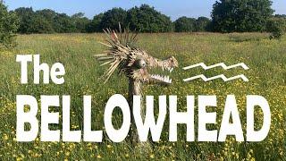 The Bellowhead