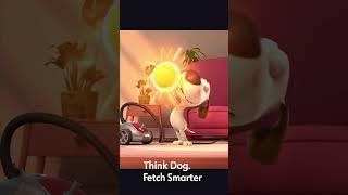 Can This Dog Outsmart the Ball?