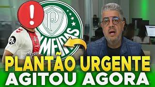 QUARTA AGITADA! BOMBOU AGORA! NOVIDADES DO PALMEIRAS! ÚLTIMAS NOTÍCIAS DO PALMEIRAS