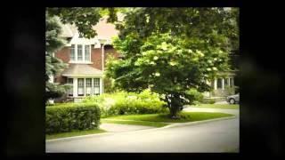 Chaplin Estates Real Estate Toronto Yonge and Eglinton