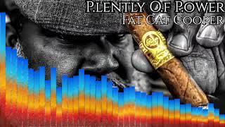 Fat Cat Cooper - P.lently O.f P.ower