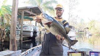 2019 Bassmaster Elite Series at St. Johns River