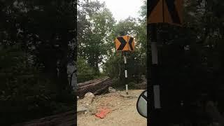 Way to tungnath Mahadev temple ️️