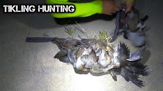 e146 Hunting Tikling & Mangubug | D Ilocano Hunter