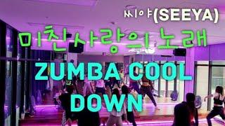 [ ZUMBA ] 줌바 Cool Down | 미친사랑의 노래 |  씨야(Seeya) | Choreo By Kelly