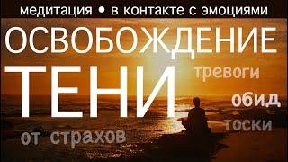 Освобождение от страхов, обид, тревоги. Уникальная медитация-практика управления эмоциями и жизнью