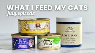 What I Feed My Cats: July Food Rotation | Sir George the Ragdoll