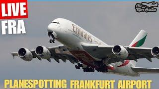 Live Planespotting Frankfurt Airport ️Sunny Day️