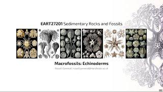 Echinoderms, Video 3 - EART27201 - Sedimentary Rocks and Fossils
