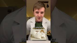 мифы о сахаре #питание #похудение #медицина #здоровье