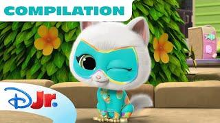 Bitsy's Vlogs | Season 2 Part 1 | Compilation | SuperKitties | @disneyjr