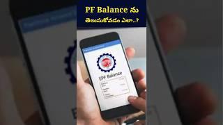 How to Check PF Balance..? #pfbalance #pf #trending #viral #shorts #balance