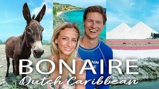 BONAIRE Travel Guide!  (30 BEST things to do, cost, & more - our vlog)