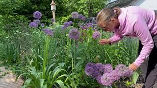 Creating a No-Dig Cut Flower Garden // Northlawn Flower Farm