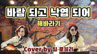 바람 되고 낙엽 되어_해바라기_2회연속 cover by 팀 로블리_가을음악회