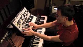 Night Moog Jamming Subphatty Korg SV1 Monomachine by Pawel Blaszczak