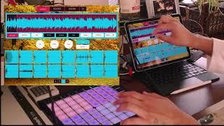 Making beats in Koala app from scratch with Bird Boss