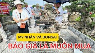 MỸ NHÂN BÁO GIÁ BONSAI TIỀN TRĂM NÓ NGỌT LÀM SAO - THEO CÁC CỤ THẾ NÀO LÀ CÂY ĐẸP, CÂY ĐẮT?