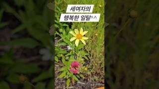세여자의 일탈 #언젠가는슬기로울전공의생활 #언젠가는 #브레인시티푸르지오 #평택브레인시티푸르지오