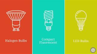 EWG Explains: How to choose the most energy efficient light bulbs