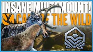 The ULTIMATE Tiger Multi-Mount! | theHunter Call Of The Wild