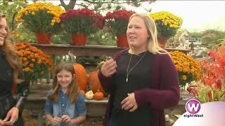 Fall fun at Harder and Warner