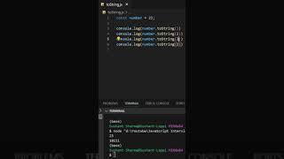 Understanding JavaScript toString() Method with Different Radices #shorts #viral #trending #coding
