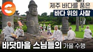 섬마을에 있는 동양 최대 단일 법당🪷 제주 바닷마을 스님들의 아주 특별한 수행 바다를 품은 절 | 제주 서귀포