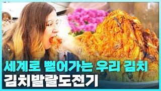 세계로 뻗어나가고 있는 우리의 김치! ＜김치발랄도전기＞ | 2024 광주MBC 신년특별기획