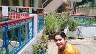 Mere ghar ke gamle #minivlog #phadilifestyle #vlog #travel #phadivibes #phadi