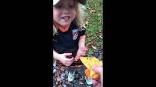 Feeding a Mallard, Suzy, & Goose