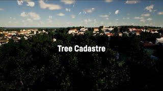 Getting Started in GeoVisual: Tree Cadastre