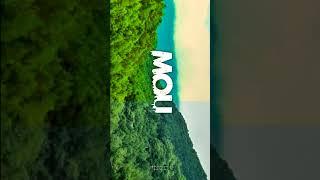 Name-ART-Mou-Status-Video-Alight-Motion#nameart#statusvideo#alight_motion#imeditor