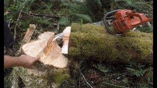 TREE FELLING TECHNIQUE ,FOR HEAVY LEANERS