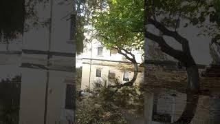 Новочеркасск.Кошмар После Дождя