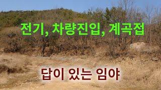 [1186][임야매매] 전기, 차량진입과 답이지만 전과 같은 답이 있는 임야 입니다.