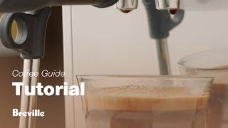 The Bambino® Plus | An easy guide to making an Americano using your espresso machine | Breville USA