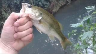 Cheap Angler Fishing - World's Smallest Crankbaits