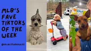 🩷Mija, Leon, & Brynlee’s Favorite Dog TikToks Of The Week🩷