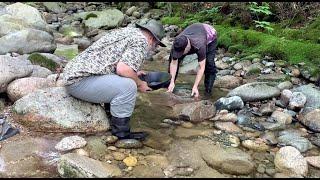 Is There Gold in the North Branch of Gale River?/ Gold Prospecting