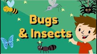 Guessing Game - Bugs & Insects  ︳ Guess the  Bugs & Insects︳ESL Game for Kids  ︳