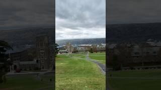 WEEKEND DAY IN MY LIFE @ CORNELL UNIVERSITY #shorts #dayinmylife #cornell