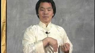 [T.W.C.] Shil Lim Tao form (in slow motion) - Grandmaster William Cheung.