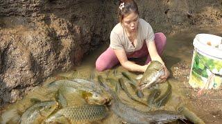 Top Videos Fishing Girl | Exciting Fishing, Fishing Techniques, Catch A Lot Of Fish - Nana Fishing