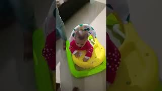  #shorts #youtube #subscribe #viral #fun #trending diksha chirag mehta