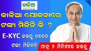 Kalia Yojana E-KYC 2021 Odisha | kalia yojana kyc update in odia | ବ୍ୟାଙ୍କ ଆକାଉଣ୍ଟରେ କିପରି kyc କରିବେ