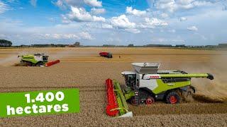 Visiting the biggest arable farm in NL | Claas Lexion 8900 & 780 | KMWP | Stubble cultivations