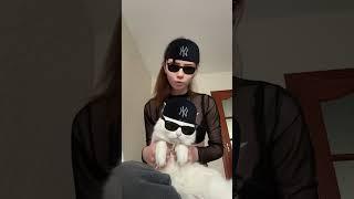 hdsonki cool = cat